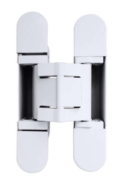 Скрытые петли Kubica