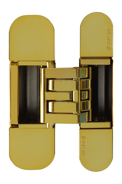 Скрытые петли Kubica